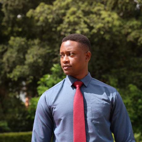 Martin Mbithi Nzilani, software engineer